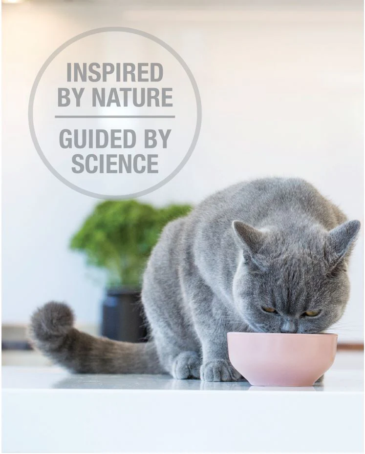 Feline Natural Freeze-Dried Core Diets - Lamb & Salmon Feast 320g - Image 3